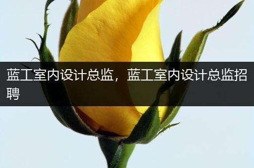 蓝工室内设计总监，蓝工室内设计总监招聘