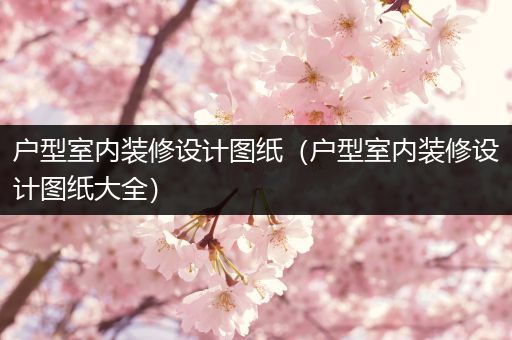 户型室内装修设计图纸（户型室内装修设计图纸大全）