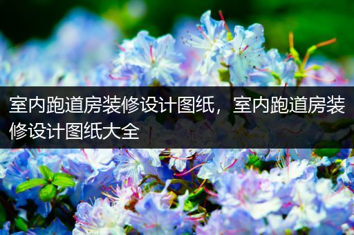 室内跑道房装修设计图纸，室内跑道房装修设计图纸大全