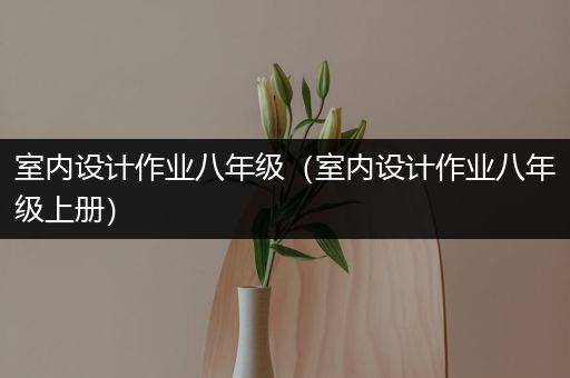 室内设计作业八年级（室内设计作业八年级上册）