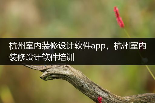 杭州室内装修设计软件app，杭州室内装修设计软件培训