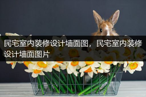 民宅室内装修设计墙面图，民宅室内装修设计墙面图片