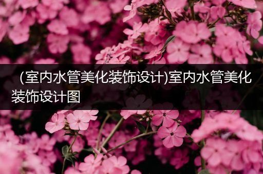 （室内水管美化装饰设计)室内水管美化装饰设计图