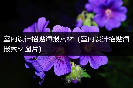 室内设计招贴海报素材（室内设计招贴海报素材图片）