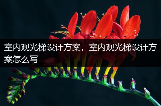 室内观光梯设计方案，室内观光梯设计方案怎么写