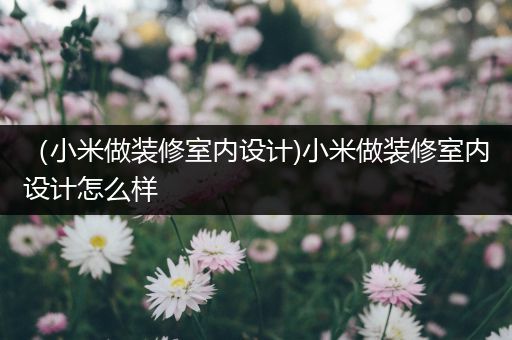 （小米做装修室内设计)小米做装修室内设计怎么样