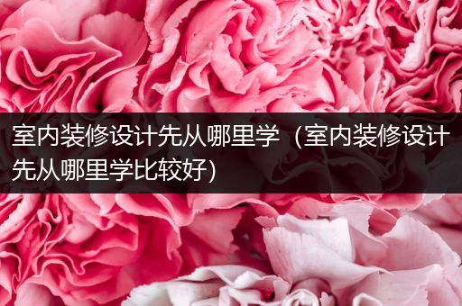 室内装修设计先从哪里学（室内装修设计先从哪里学比较好）