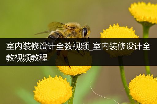 室内装修设计全教视频_室内装修设计全教视频教程