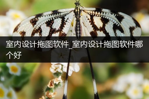 室内设计拖图软件_室内设计拖图软件哪个好